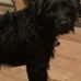 Janette Richardson - Facebook