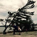 Janette Rojas - @janetteartdog - Instagram
