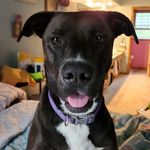 Janet Russo - @jmr1658 - Instagram