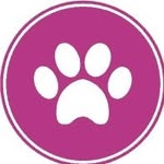Janette Saunders - @shortbarkandsides_doggrooming - Instagram