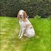 Janette Saunders - Facebook