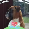 Jane Sexton - @jane.sexton - TikTok