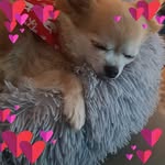 Janette Simpson - @weejinit - Instagram