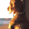 janettesimpson74 - @janettesimpson74 - TikTok