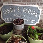Janet Sinclair Fisher - @sinclairfisher - Instagram