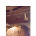 Janet Sorio - Facebook