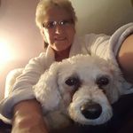 Janet Strong - @strongjanet70 - Instagram