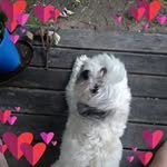 Janette Leggatt Sullivan - @leggattsullivan - Instagram