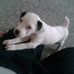 Janette Sullivan - Facebook