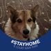 Janette Sutton - Facebook
