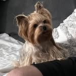 Janet Mills Tharp - @janettharp - Instagram
