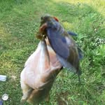 Janet  Toth - @tothjanet56 - Instagram