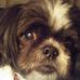 Janet Wall - Facebook