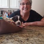 Janet Warner - @janetwarner7294 - Instagram