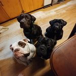 Janet Warner - @janet.warner.902 - Instagram