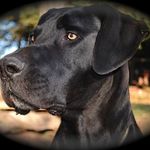 Janet Warner - @janetfromtheblueplanet - Instagram