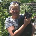 Janette Webb - @jmwinteriors - Instagram