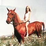 janettewebber - @janettewebber - Instagram