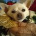 Janet Whaley - Facebook