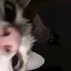 Janette White - @janettewhite110 - TikTok