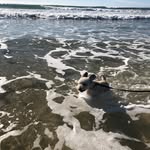 Janette Wilkinson - @janetteann59 - Instagram