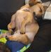 Janette Wolf - Facebook