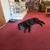 Janet Woods - @janet.woods74 - TikTok