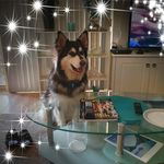 Janette Woods - @jwo56510 - Instagram