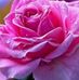 Janey King - Facebook