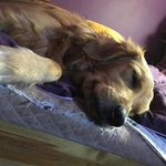 Janey King - @janeyking11 - Instagram