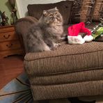 Janey Stubbs - Facebook