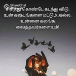 Jani Rose - @jani.rose.355 - Instagram