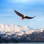 Janice Abraham - Facebook