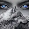 Janice Ackermann - @janice.ackermann4 - TikTok
