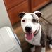 Janice Ron Parks - Facebook