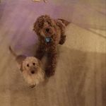 Janie Rebarick Ackerman - @harjan001 - Instagram