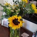 Janice Akin - @janice.akin.79 - Instagram