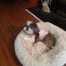 Janice Akins - Facebook