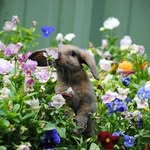 Janice Angle - @jangle5757 - Instagram