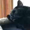 Janice Archambault - @janice.archambaul - TikTok