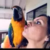JaniceAvant - @xiyitblhbor - TikTok