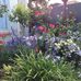 Jan Baird - Facebook