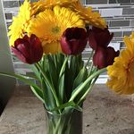 Janice Baird - @janicebaird7 - Instagram