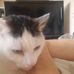 Janice Baird - Facebook
