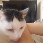 Janice Baird - @jb.bd257 - Instagram