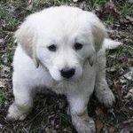 Janice Fagan Baird - @janice.baird.585 - Instagram