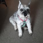 Janice Barbour - @janicebarbour85409 - Instagram