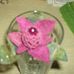 Janice Barwick - Facebook