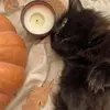 Janiceiuj Bascombe - @janiceiujbascombe - TikTok
