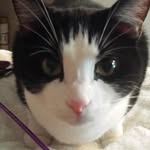 Janice Baskin - @cookingdiva55 - Instagram